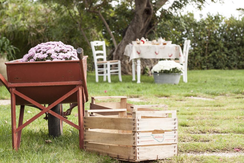 Masseria Ciancio Casa Serrafiori ภายนอก รูปภาพ